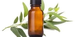 Eucalyptus Oil