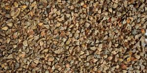 Buckwheat