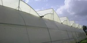 Polyhouse Consultancy