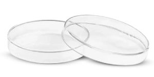 Petri Dish