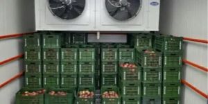 Walk in Cold Storage Room