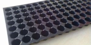 54 Cavity Seedling Tray