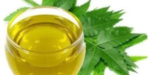 Neem Oil