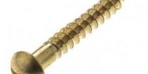 Raised Head Slotted Screw