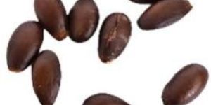 Apple Seeds