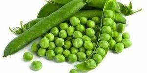 Fresh Green Peas