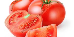 Fresh Tomato