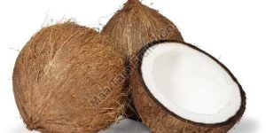 Fully Husked Coconut