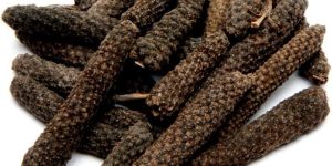 Long Pepper