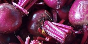 Beetroot