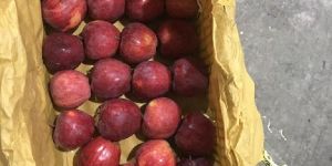red delicious apple-Iran