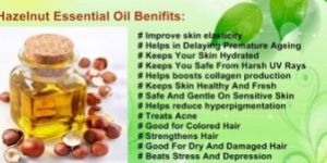 Hazel Nut Oil
