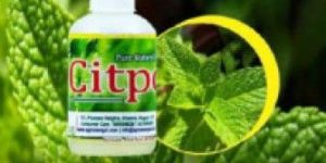 Peppermint Essential Oil