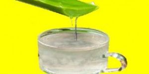 Plain Aloe Vera Gel