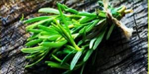 Rosemary Essential Oil