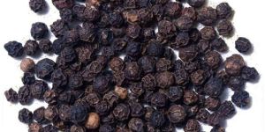 Black Pepper Seeds