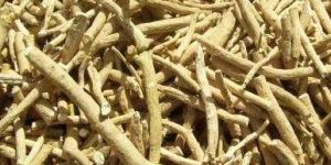 Ashwagandha Roots