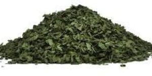 Dried Tulsi Leaves