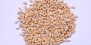 Lemon Seeds