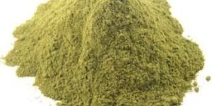 Stevia Powder