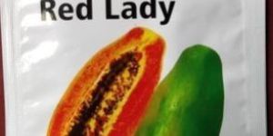 Taiwan Red Lady Papaya Seeds