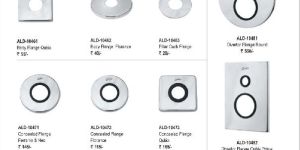 SS Diverter Flange Plate