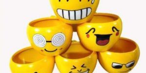 Emoji Flower Pot