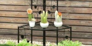 Three Tier Corner Stand