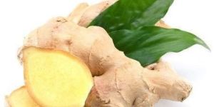 Fresh Ginger