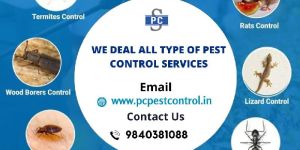 Pest Control Services in Chennai