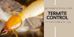 Termite Control Services