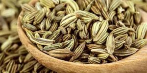 Fennel Seeds