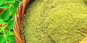 Moringa Powder