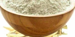 Shatavari Root Powder