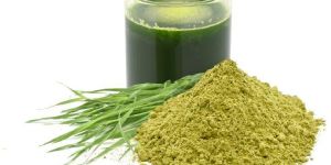 Wheatgrass Powder