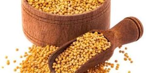 Yellow Mustard Seeds