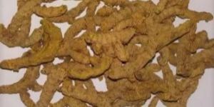 Dry Turmeric