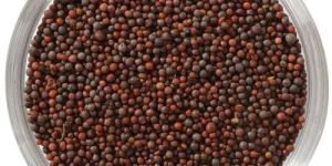 Mustard Seeds