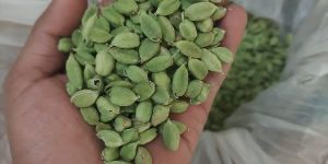 Green Cardamom