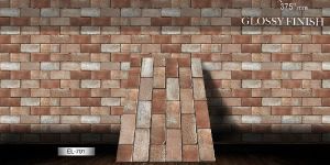 250x375mm Evaluation Glossy Finish Tiles