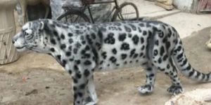 Fiberglass Leopard Statue