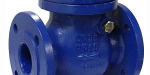 Cast Iron Swing Type Bolted Cover Check Valve