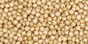 White Jowar Seeds