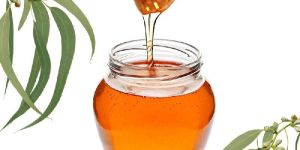 Eucalyptus Honey