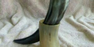Viking Drinking Horn