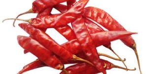 Red Dry Chilli