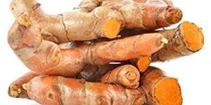 ORGANIC RAW TURMERIC