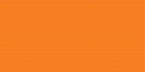 A5 Brown Note Book 68 Pages (18X24 Cms)