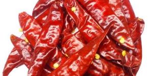 Dry Red Chilli
