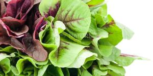 Hybrid Amaranthus Caudatus Seeds